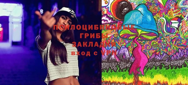 скорость Горняк
