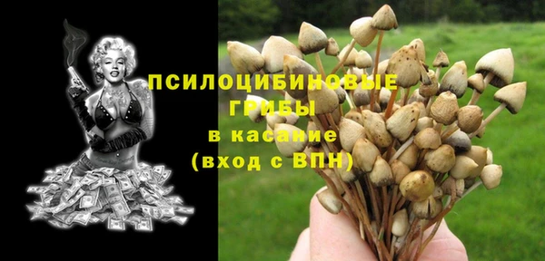 скорость Горняк